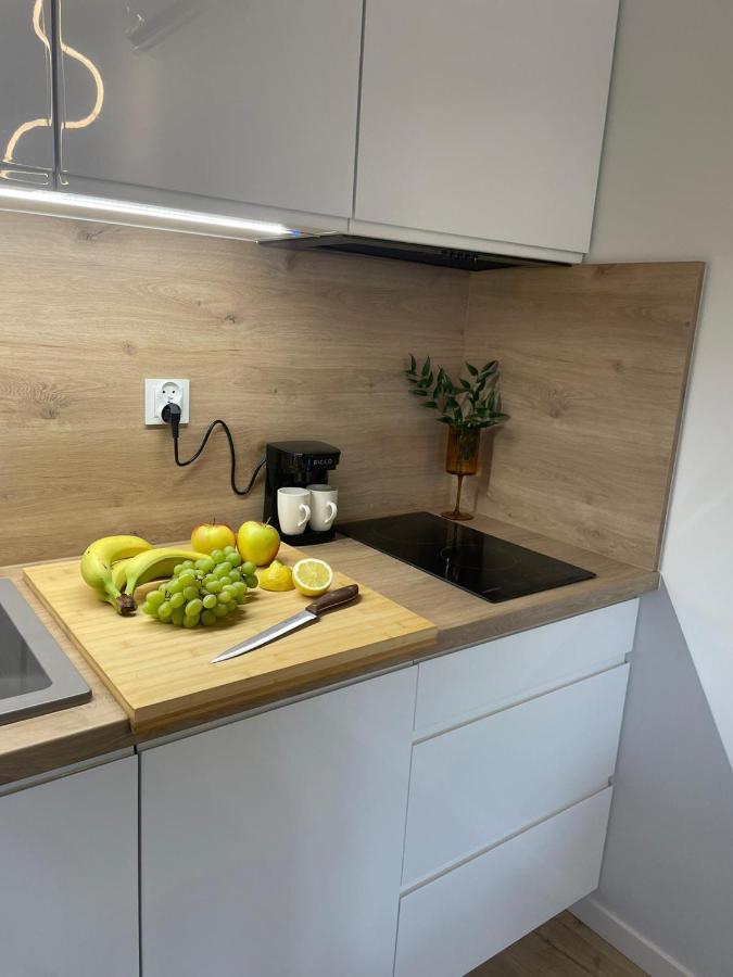 Apartament Kameralis Old Town - Klimatyzacja - Balkon - Winda Elblag Kültér fotó