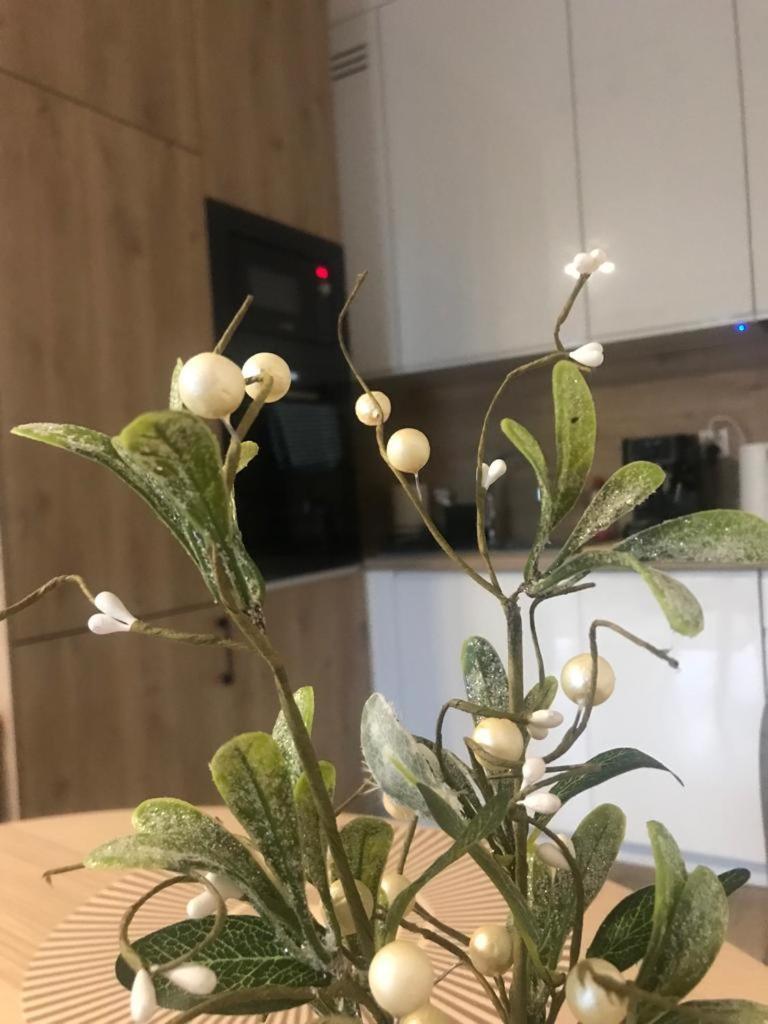Apartament Kameralis Old Town - Klimatyzacja - Balkon - Winda Elblag Kültér fotó